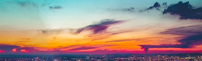 禹州茶虫网_禹州品茶